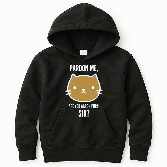 Pardon Me Are You Aaron Purr, Sir? Kids Hoodie