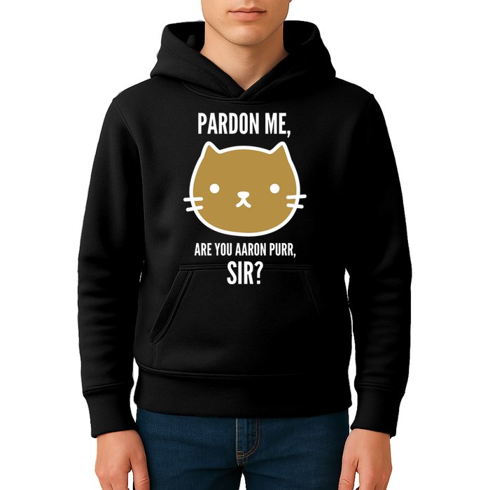 Pardon Me Are You Aaron Purr, Sir? Kids Hoodie