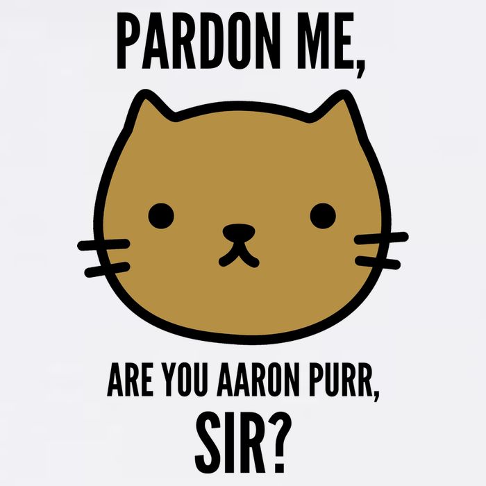 Pardon Me Are You Aaron Purr, Sir? Garment-Dyed Sweatshirt