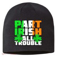 Part Irish All Trouble Sustainable Beanie