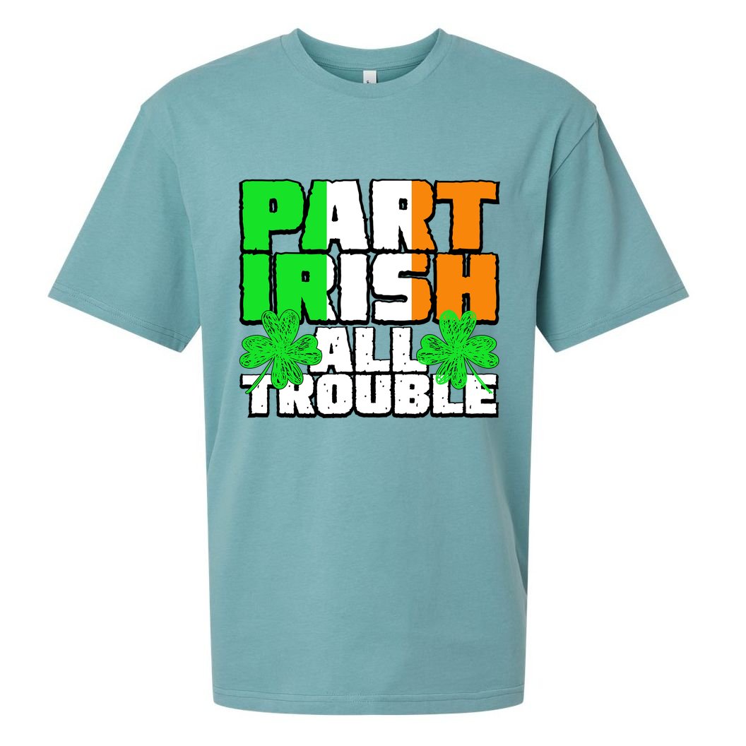 Part Irish All Trouble Sueded Cloud Jersey T-Shirt
