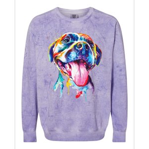 Pitbull Artistic Splash Art Animal Colorful Dog Breed Gift Colorblast Crewneck Sweatshirt