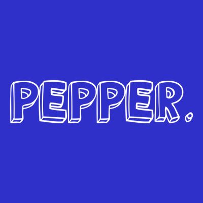 Pepper And Salt Pepper Costume Couple Matching Meaningful Gift T-Shirt