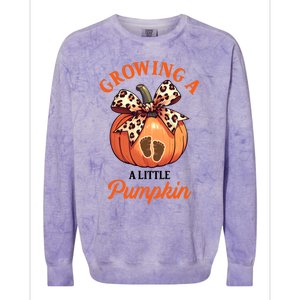 Pregnancy Announcement Thanksgiving Growing Little A Pumpkin Colorblast Crewneck Sweatshirt