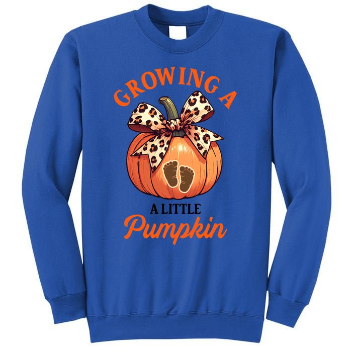 Pregnancy Announcement Thanksgiving Growing Little A Pumpkin Sweatshirt