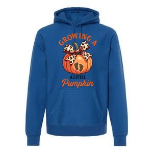 Pregnancy Announcement Thanksgiving Growing Little A Pumpkin Premium Hoodie