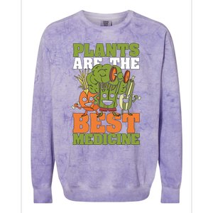 Plants Are The Best Vegan Lifestyle Vegetable Lover Veganism Gift Colorblast Crewneck Sweatshirt