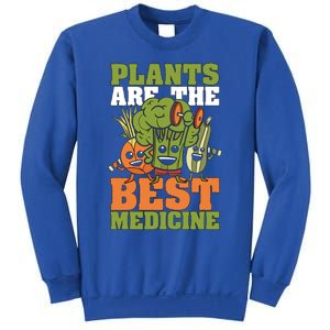 Plants Are The Best Vegan Lifestyle Vegetable Lover Veganism Gift Sweatshirt