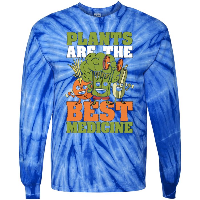 Plants Are The Best Vegan Lifestyle Vegetable Lover Veganism Gift Tie-Dye Long Sleeve Shirt