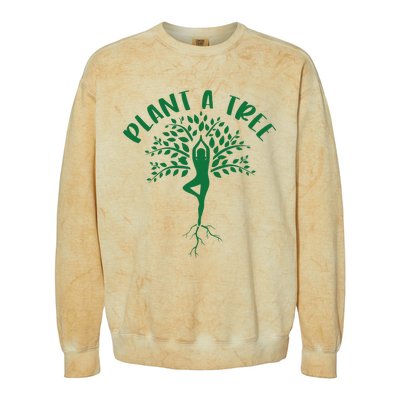 Plant A Tree Yoga Meditation Lover Namaste Yogi Tree Pose Colorblast Crewneck Sweatshirt