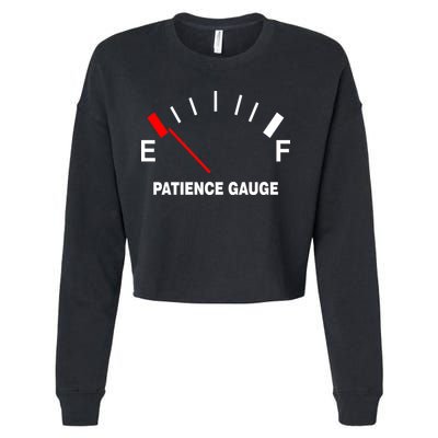 Patience Gauge Nearly Empty Cropped Pullover Crew