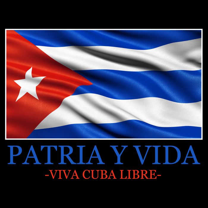 Patria Y Vida Viva Cuba Libre Women's V-Neck T-Shirt