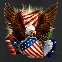 Patriot Eagle American Shield Cool Comfort Performance Bucket Hat