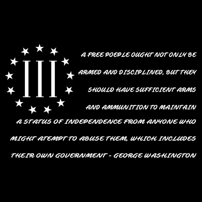 Patriot George Washington Flag Quote City Backpack