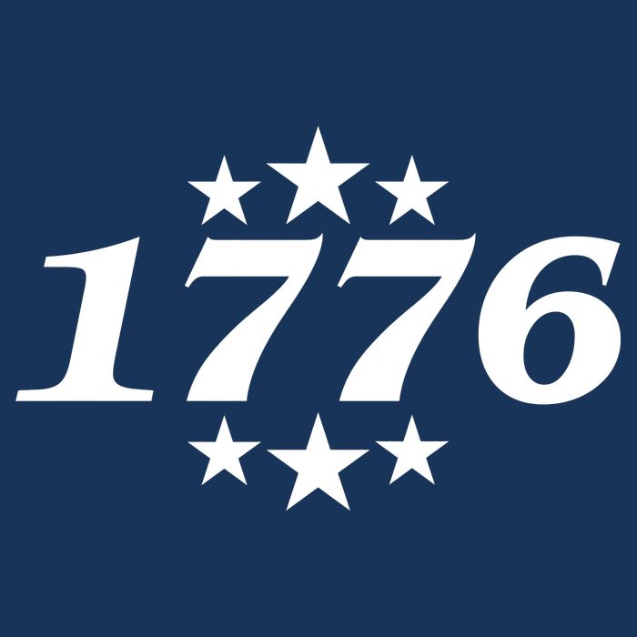 Patriotic 1776 USA 4th of July Stars 16 in Basic Backpack