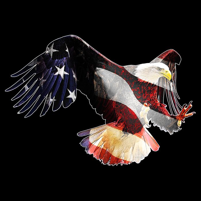 Patriotic American Bold Eagle Backpack