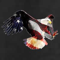 Patriotic American Bold Eagle Adult Drive Performance Visor