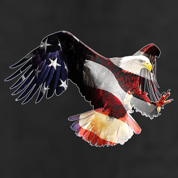 Patriotic American Bold Eagle Adult Drive Performance Visor