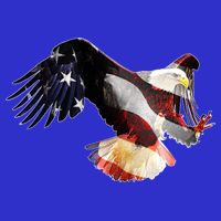 Patriotic American Bold Eagle Poster