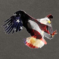 Patriotic American Bold Eagle Cotton Canvas Backpack
