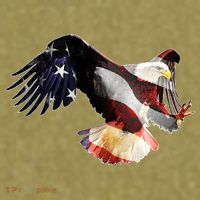 Patriotic American Bold Eagle Garment-Dyed Women's Muscle Tee