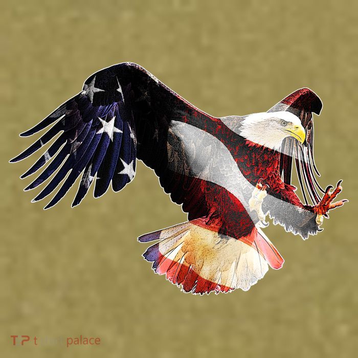 Patriotic American Bold Eagle Garment-Dyed Women's Muscle Tee