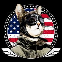 Patriotic American Cat Pilot Toddler T-Shirt