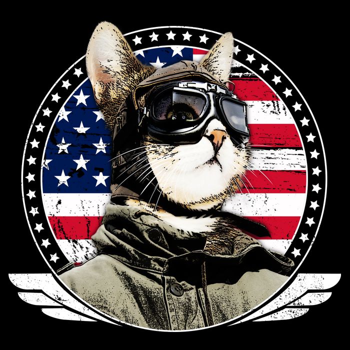 Patriotic American Cat Pilot Toddler T-Shirt