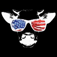 Patriotic Cow USA Flag Sunglasses Cooling Performance Crew T-Shirt