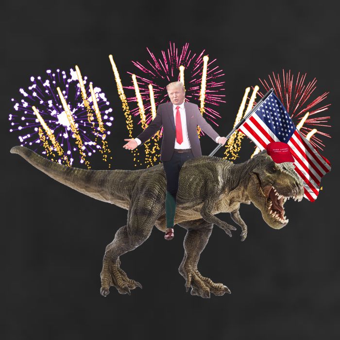 Patriotic Donald Trump On A Dinosaur 11oz C Handle Ceramic Mug