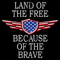 Patriotic Land Of The Free Because Of The Brave Wool Snapback Cap