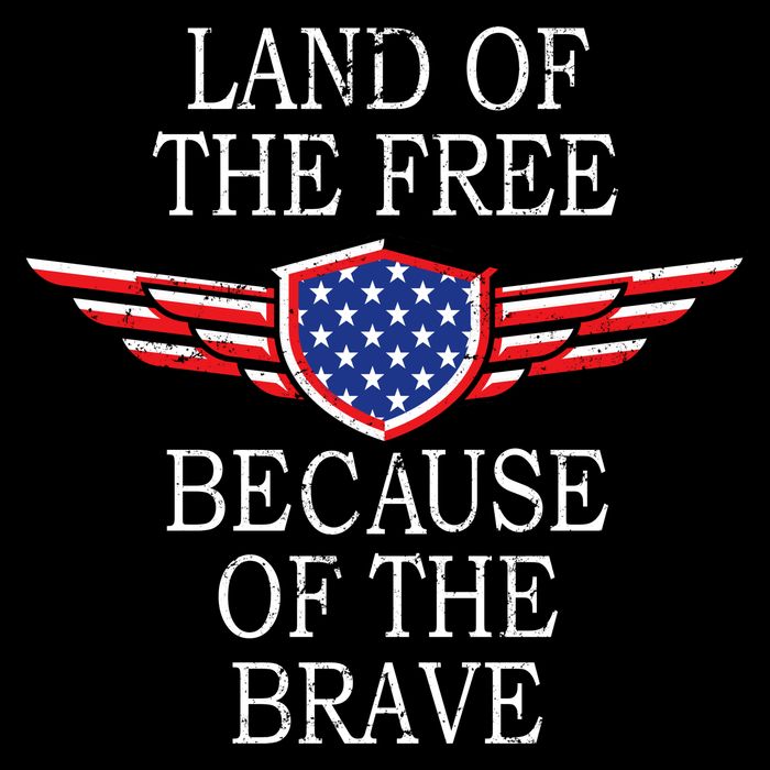 Patriotic Land Of The Free Because Of The Brave Wool Snapback Cap