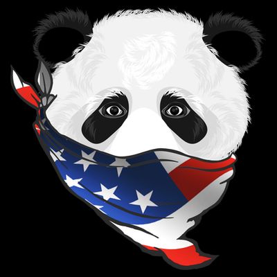Patriotic Panda American Bandanna Flag T-Shirt