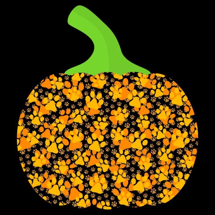 Paw Print Pumpkin Women's V-Neck T-Shirt
