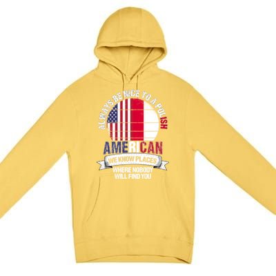 Polish American We Know Places Where Country Poland Flag Gift Premium Pullover Hoodie