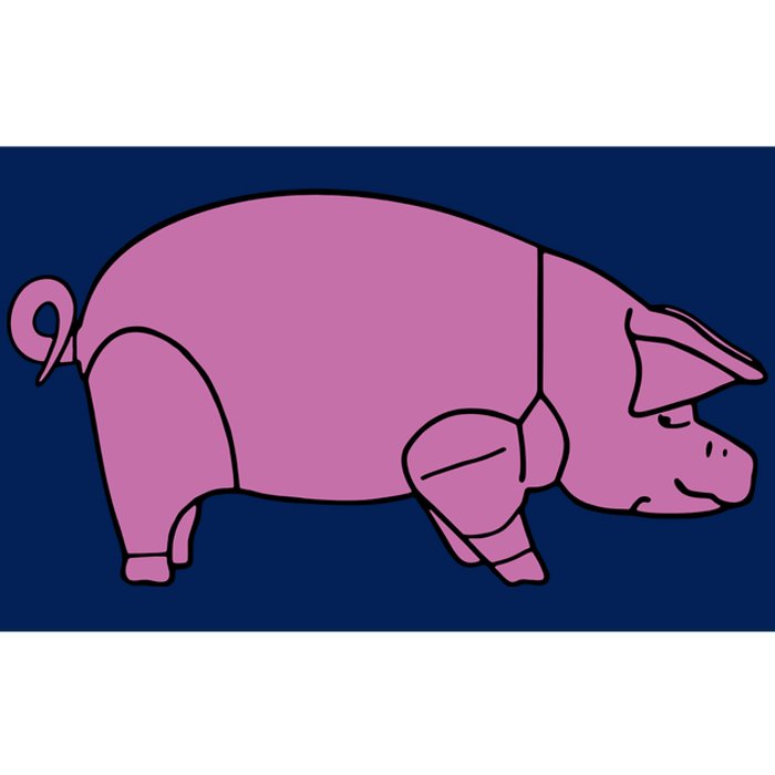 Pig As Worn By Dave Gilmour Bumper Sticker