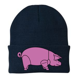 Pig As Worn By Dave Gilmour Knit Cap Winter Beanie