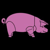 Pig As Worn By Dave Gilmour Impact Tech Backpack