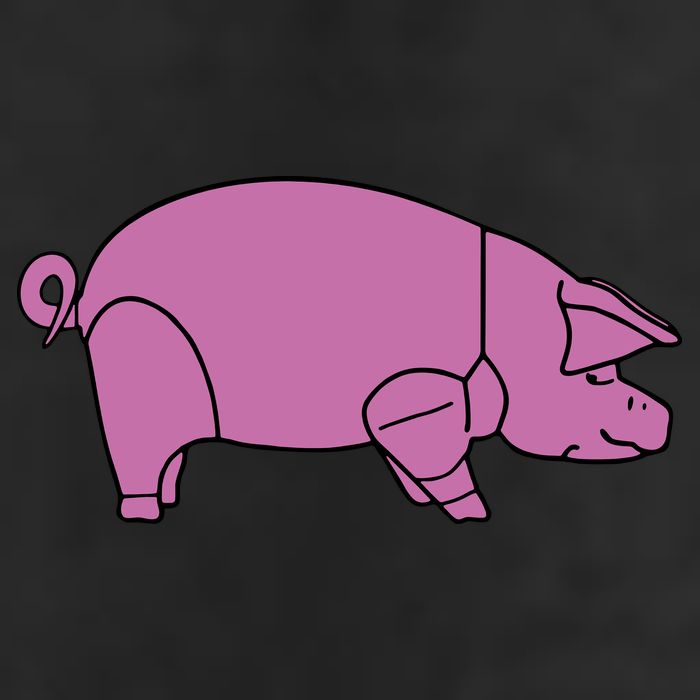 Pig As Worn Tumbler