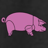Pig As Worn Microfiber Hand Towel
