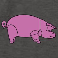 Pig As Worn Vector Backpack
