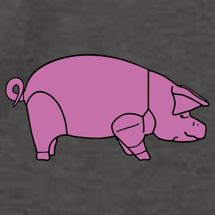 Pig As Worn Vector Backpack