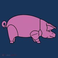 Pig As Worn Sustainable Beanie
