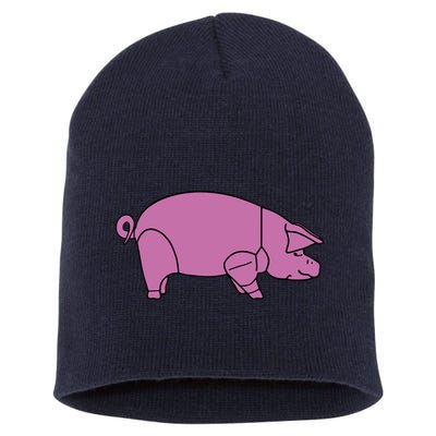 Pig As Worn Short Acrylic Beanie