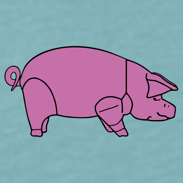 Pig As Worn Sueded Cloud Jersey T-Shirt