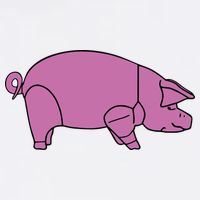 Pig As Worn Garment-Dyed Sweatshirt