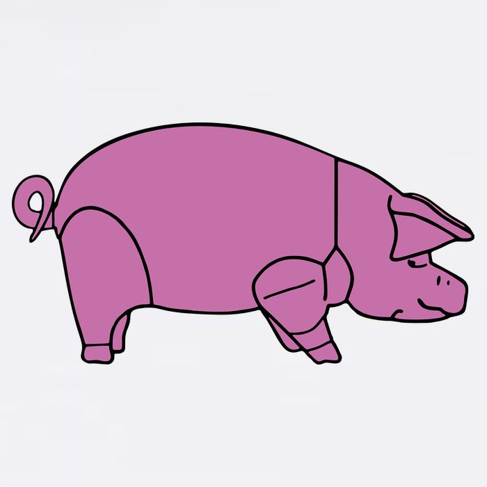 Pig As Worn Garment-Dyed Sweatshirt