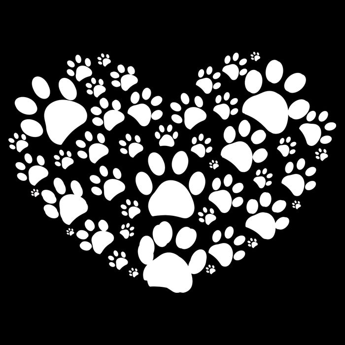 Paws Of Heart Crop Top
