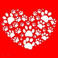 Paws Of Heart 16 in Basic Backpack