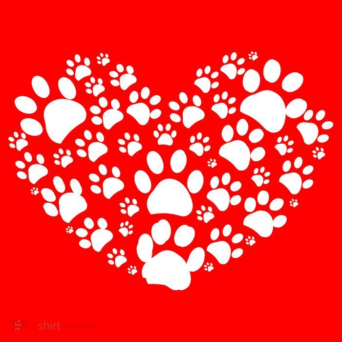 Paws Of Heart Poster
